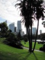 /album/botanic-garden/img-0080-jpg/